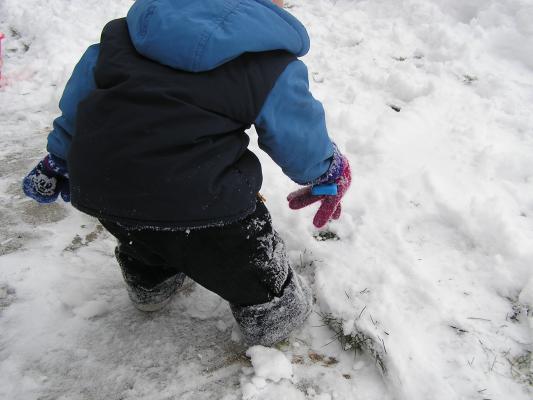 Dig, dig, dig in the snow.