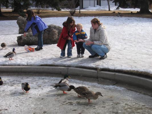 Malia, Aundrea and Noah feed the ducks at the duck pond.