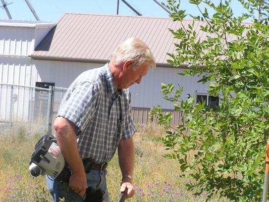 Bill Kern wacks some weeds.