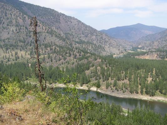 A view from Cascade Falls
