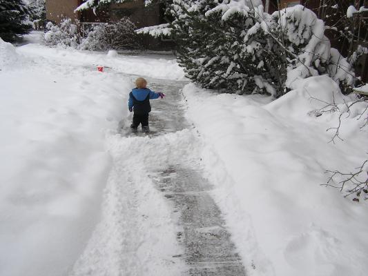 Let's build a snow fort.