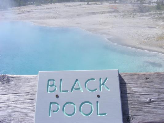 Black Pool.