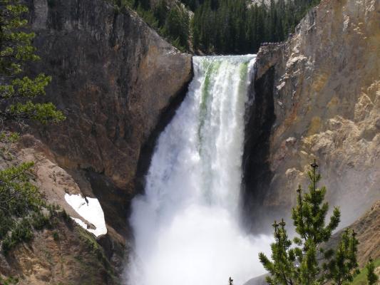 Yellowstone Falls.