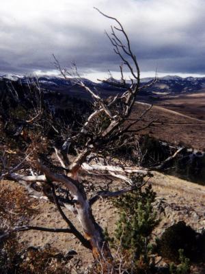 File written by Adobe Photoshop� 4.0