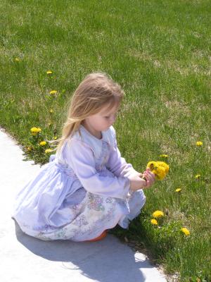 Sarah picks dandelions