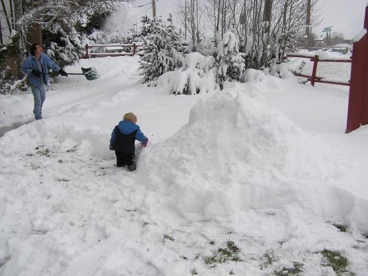 Let's build a snow fort.