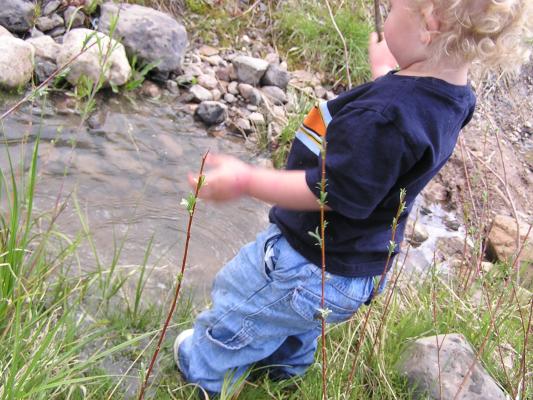 Noah plays in the water.