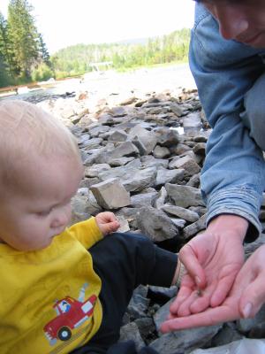 It's a baby crawdad