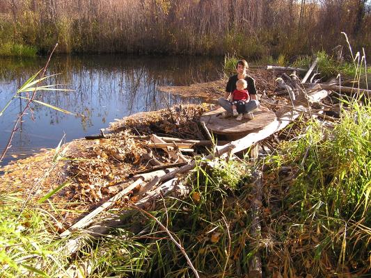 David and Noah on a Beaver Dam