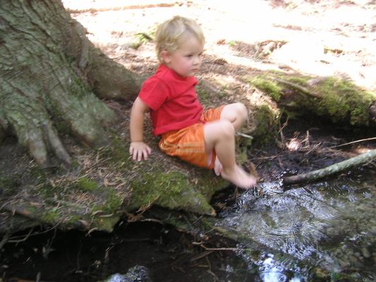 Noah cools his feet in a river