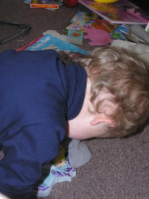 Noah plays wiht magnetic animals.