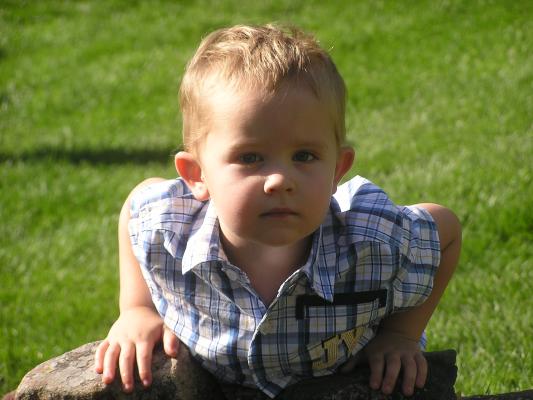 Noah