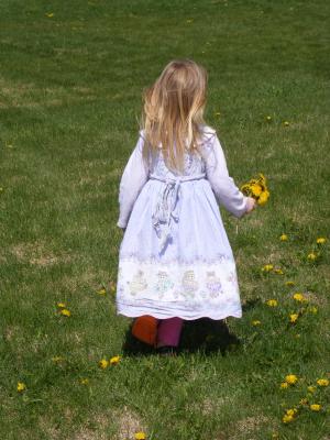 Sarah picks dandelions