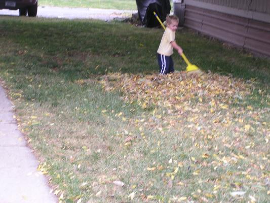 Noah plays with the pile of leaves.