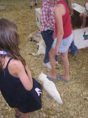Andrea and a chicken