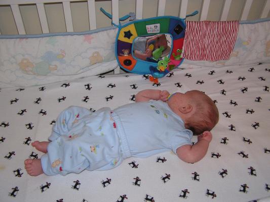 mirror. mirror. Who is the cutest baby of them all?