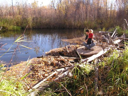 David and Noah play on a beaver dam.