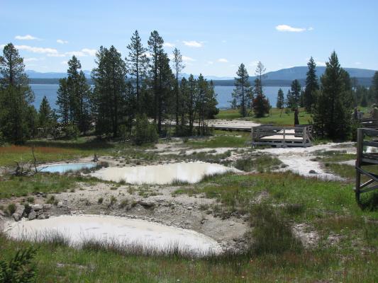More pools