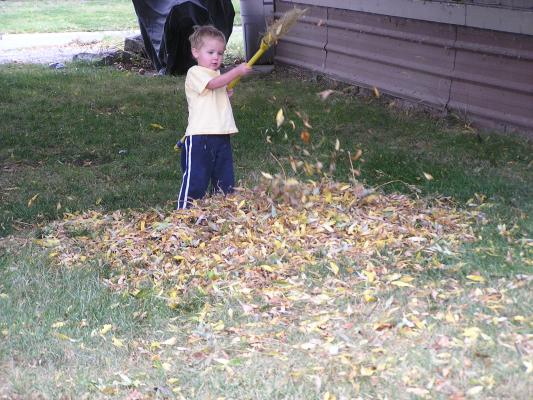 Noah plays with the pile of leaves.