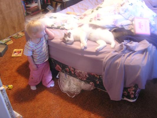 Sarah loves her new kitty.