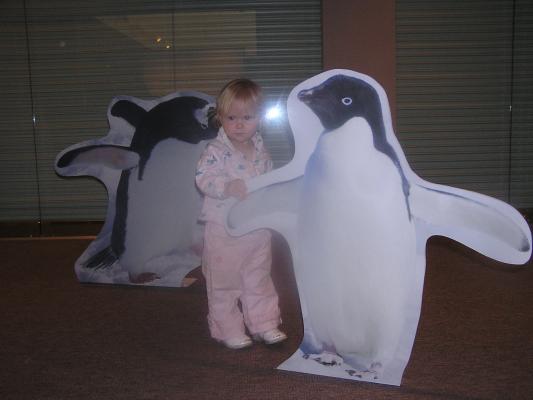 Sarah with some penguins at the Museum of the Rockies.