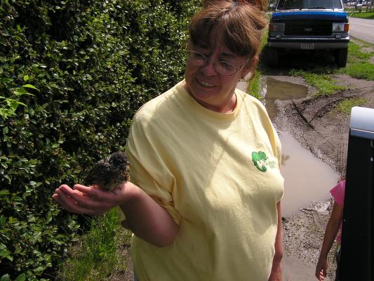 Bea holds a bird she found in the house.