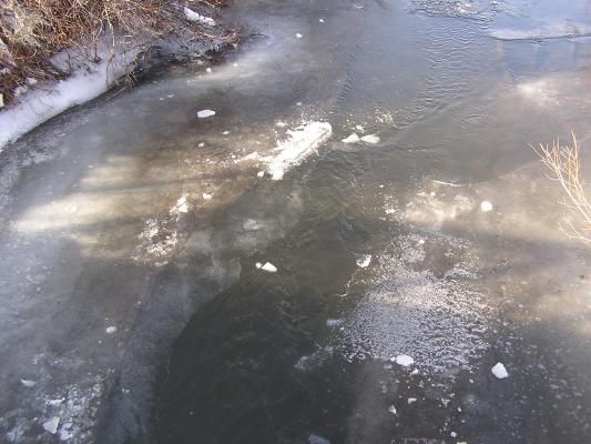 There's our ice way down there. Watch it float away.