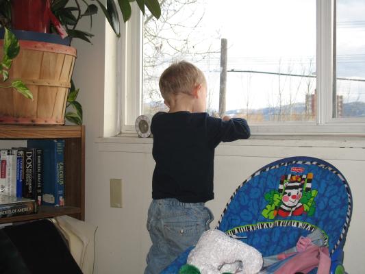 Noah plays with pigs on the window sil.