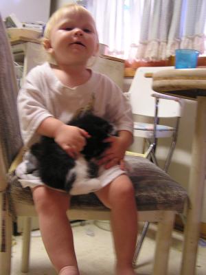 Sarah just loves kittens