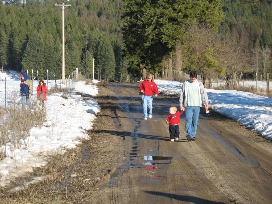 The kids went to see the baby cows.