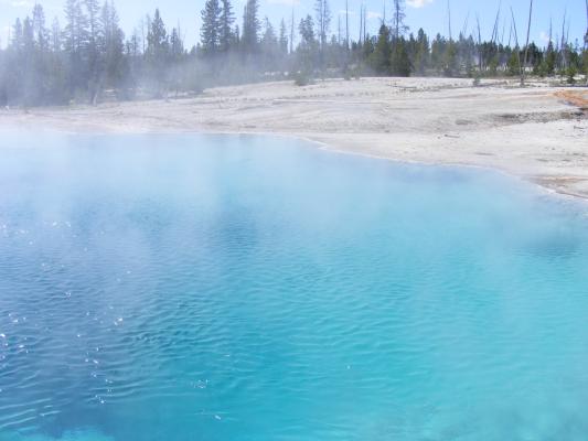 steamy pool