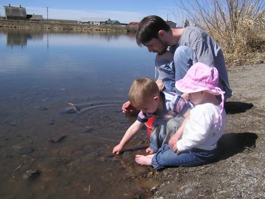 David, Noah and Sarah put rocks in a bucket.