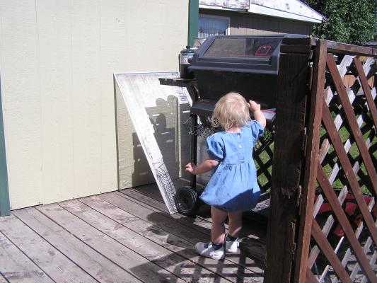 Sarah is plannig a BBQ