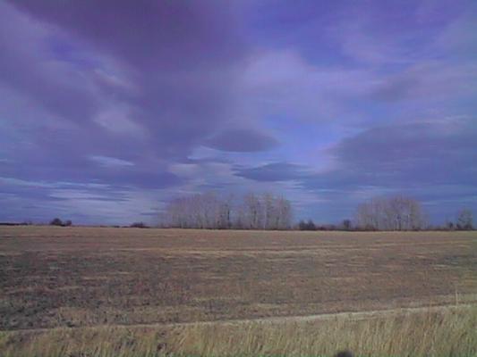 Field near Bozeman, MT
