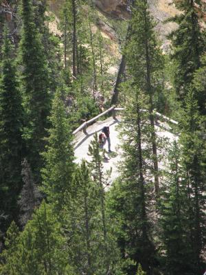 Yellowstone Falls.
