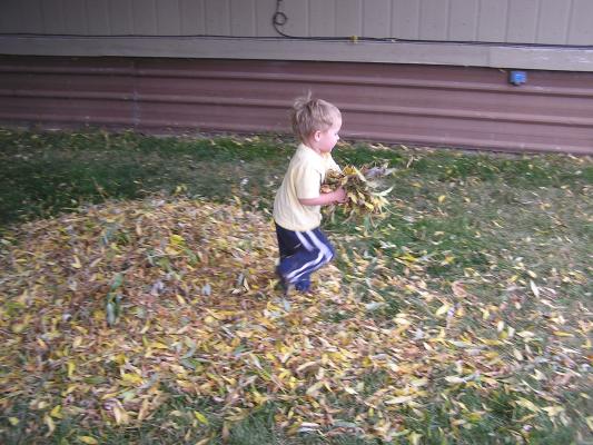 Noah plays with the pile of leaves.