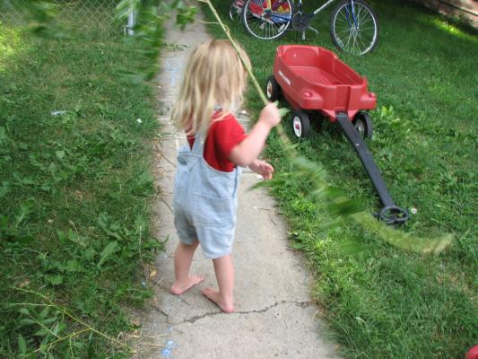 Sarah in overalls with tree branch.