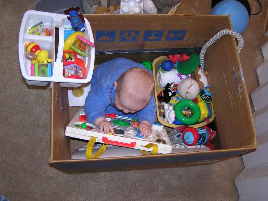 Noah's playpen.