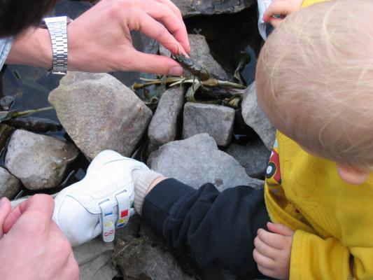 Look, Noah, it's a crawdad