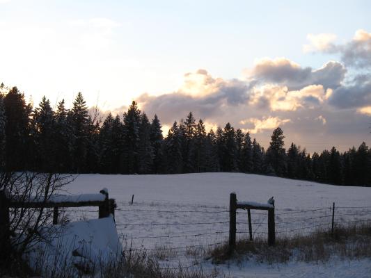 The view from grandpa's house.