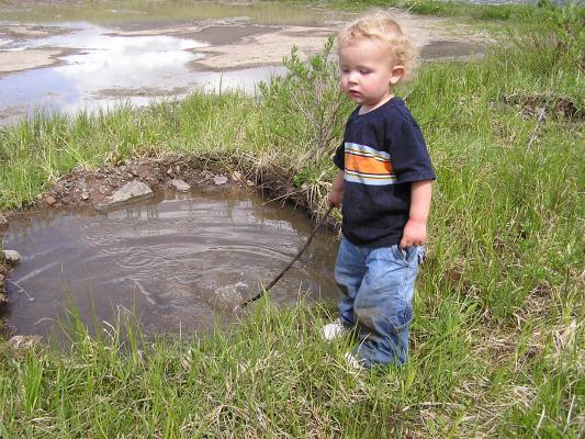 Noah stirs the pond with his stick.