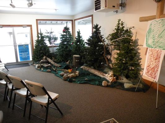 Wildwood Forest VBS