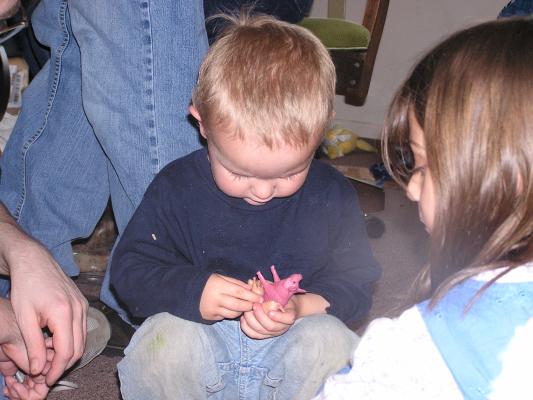 Noah really liked the pigs.