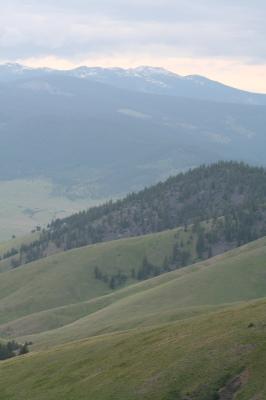 View from the Bison Range.