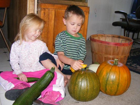 We got two good pumpkins