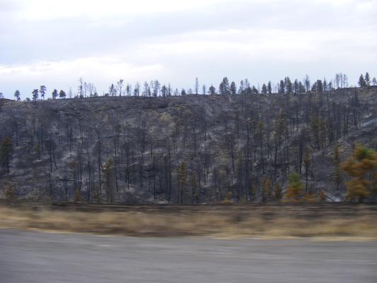 Fire damage close to road.