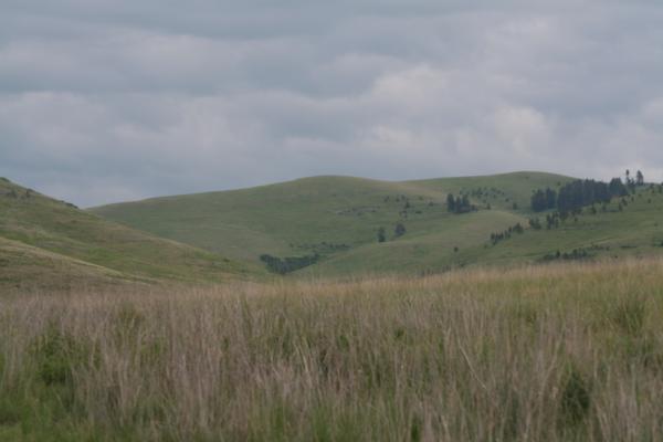 National Bison Range.