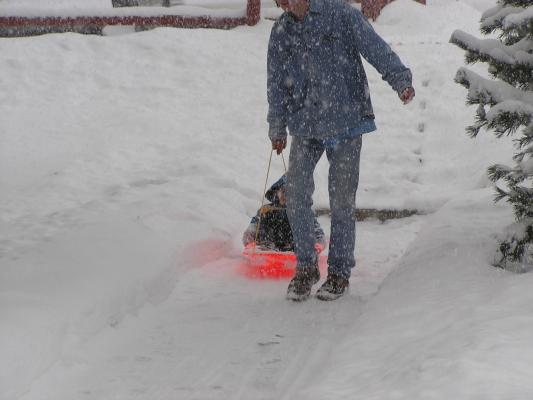 David pulls Noah in the sled.