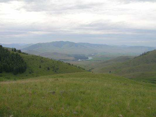 View of the Flathead River.