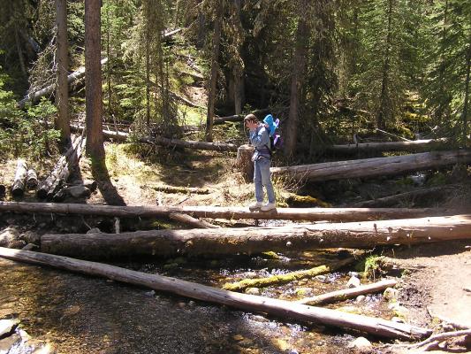 David shows Noah how to cross the stream on a log.